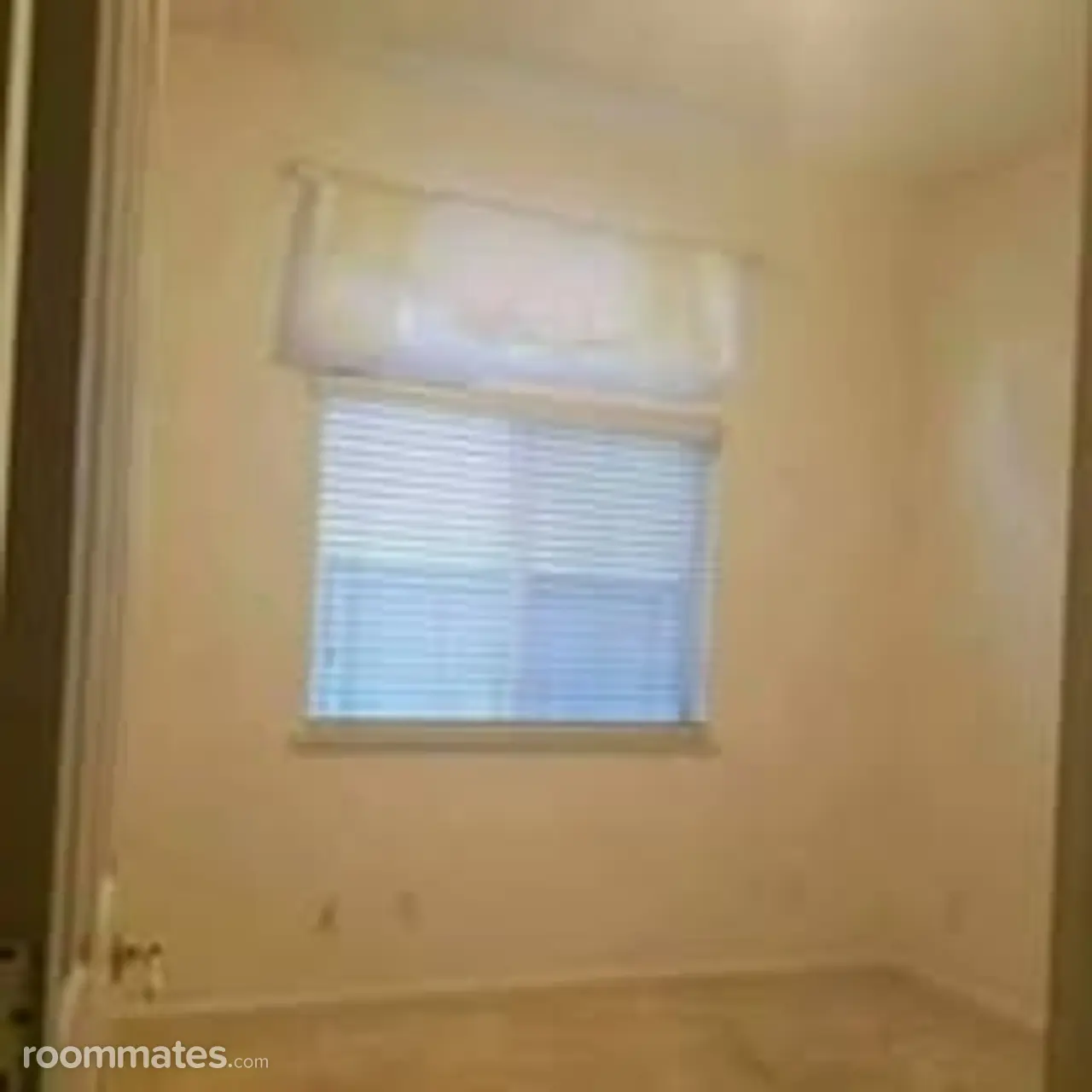 Profile photo 4 of 17