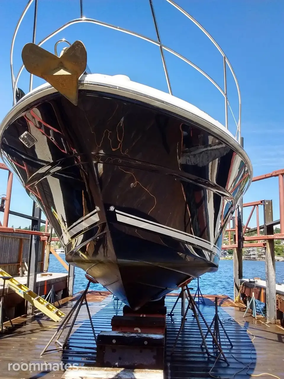 Profile photo 4 of 6