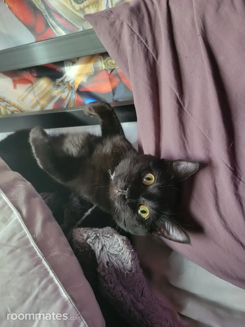 Profile photo 8 of 8