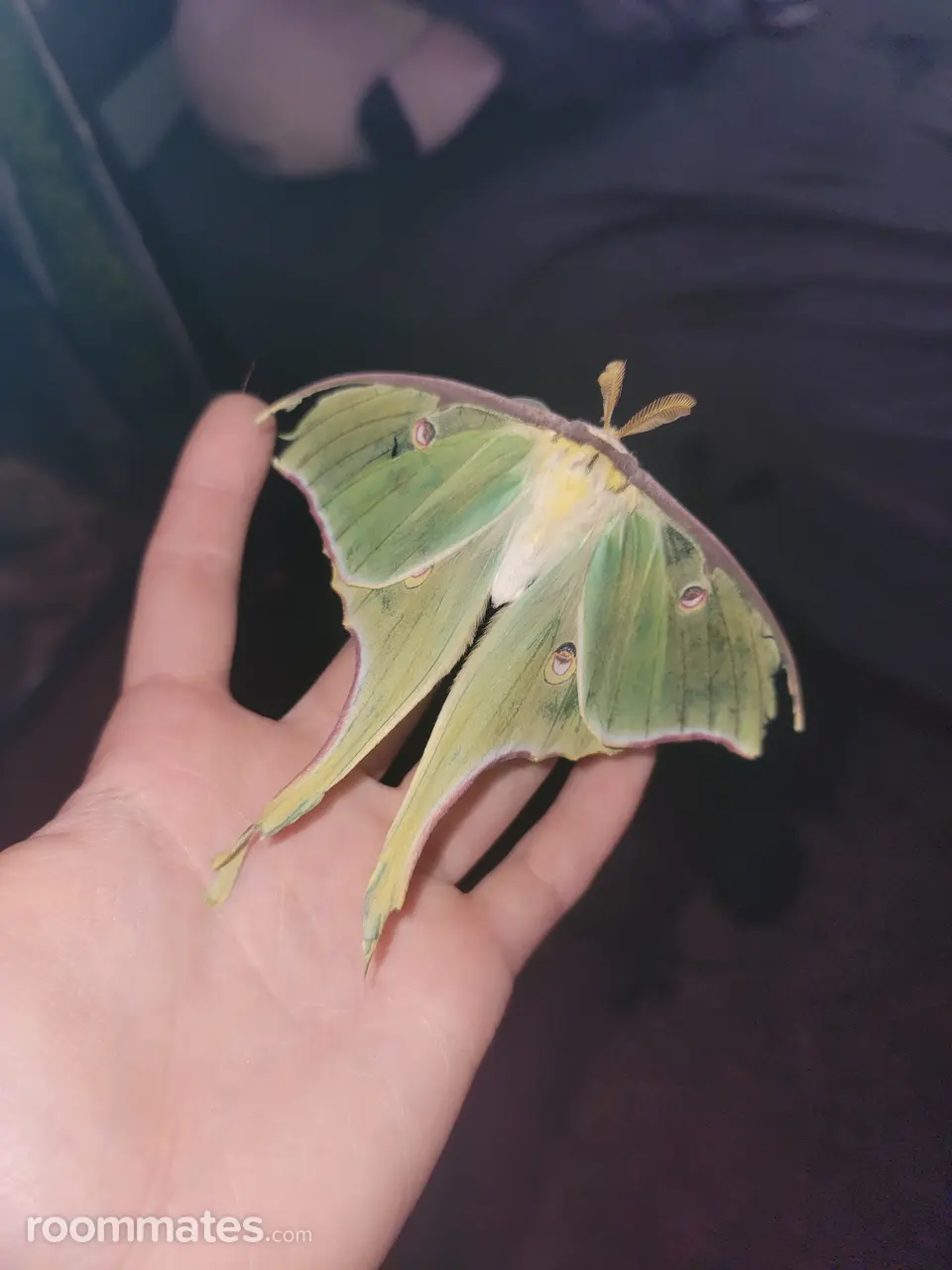 Profile photo 4 of 8