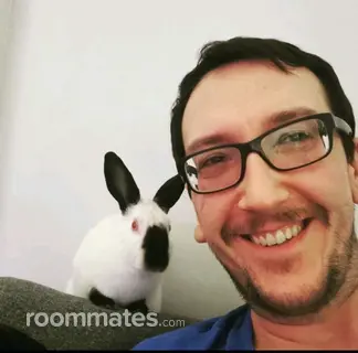 Roommate looking Boston, MA, $1800