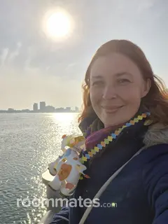 Roommate looking Ferndale, MI, $1000