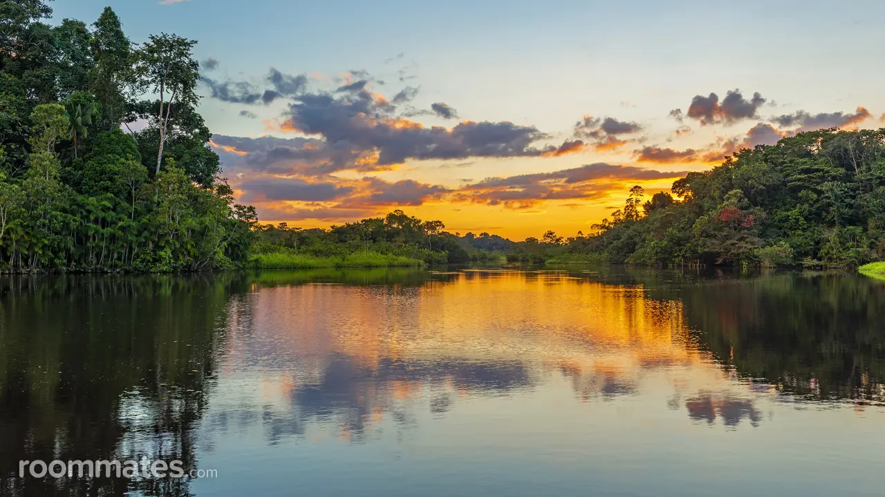 Profile photo 1 of 1