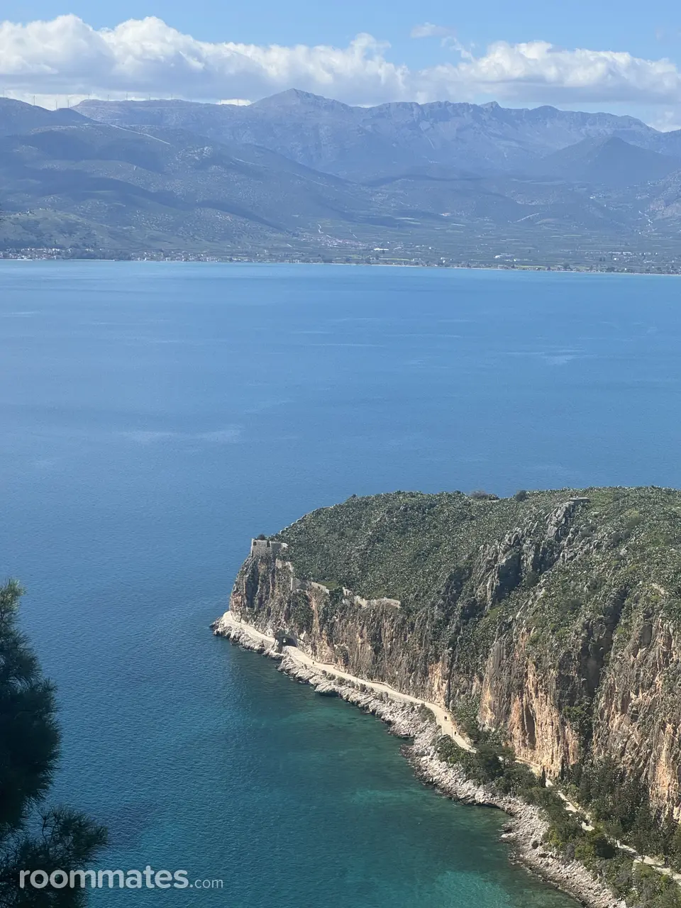 Profile photo 4 of 7