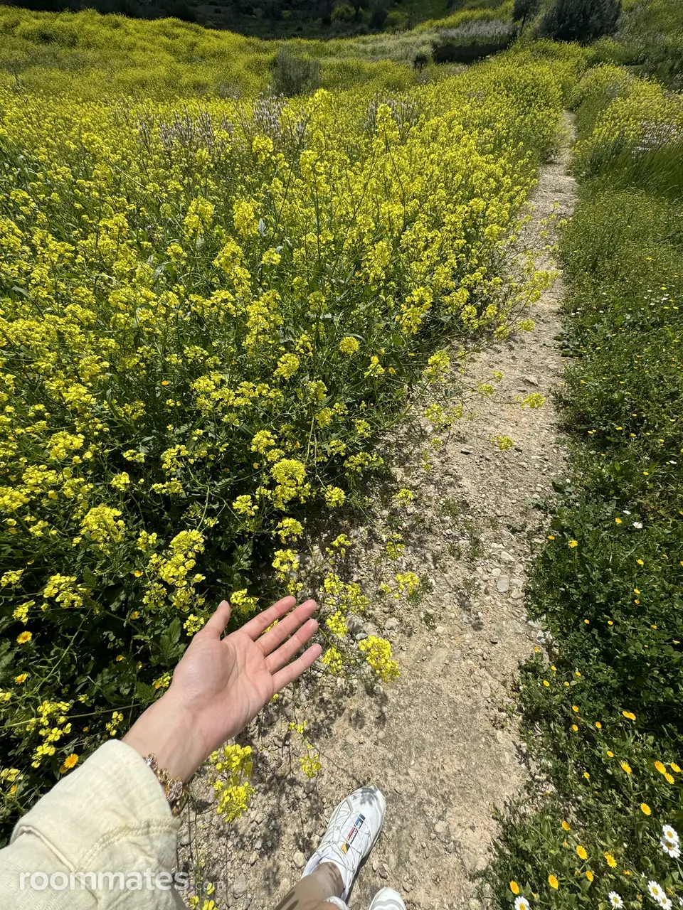 Profile photo 5 of 7