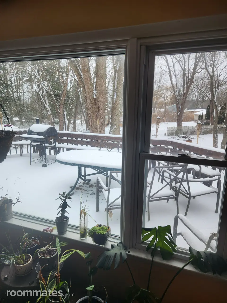 Profile photo 5 of 9