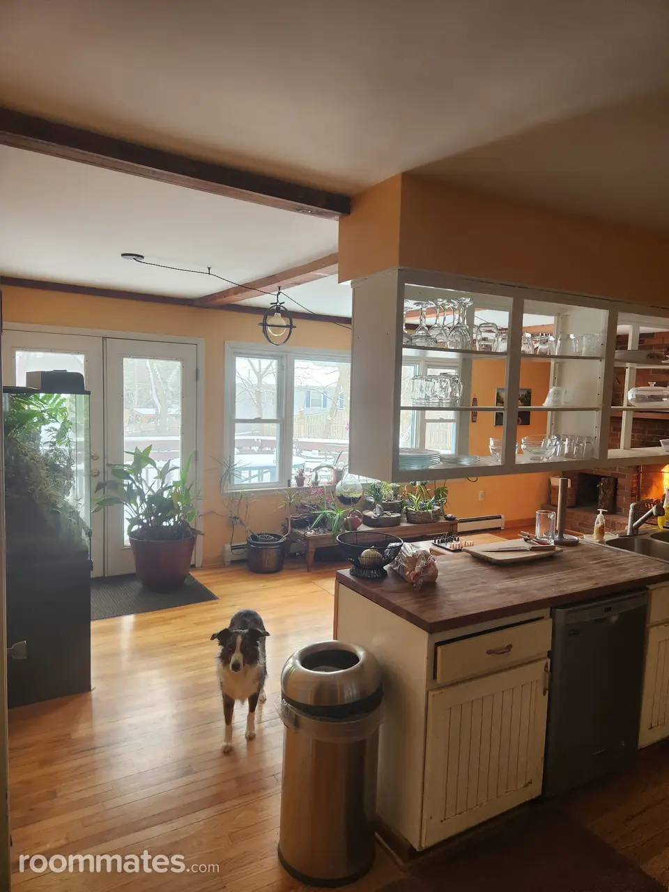 Profile photo 3 of 9