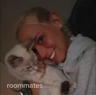 Roommate looking Cincinnati, OH, $700