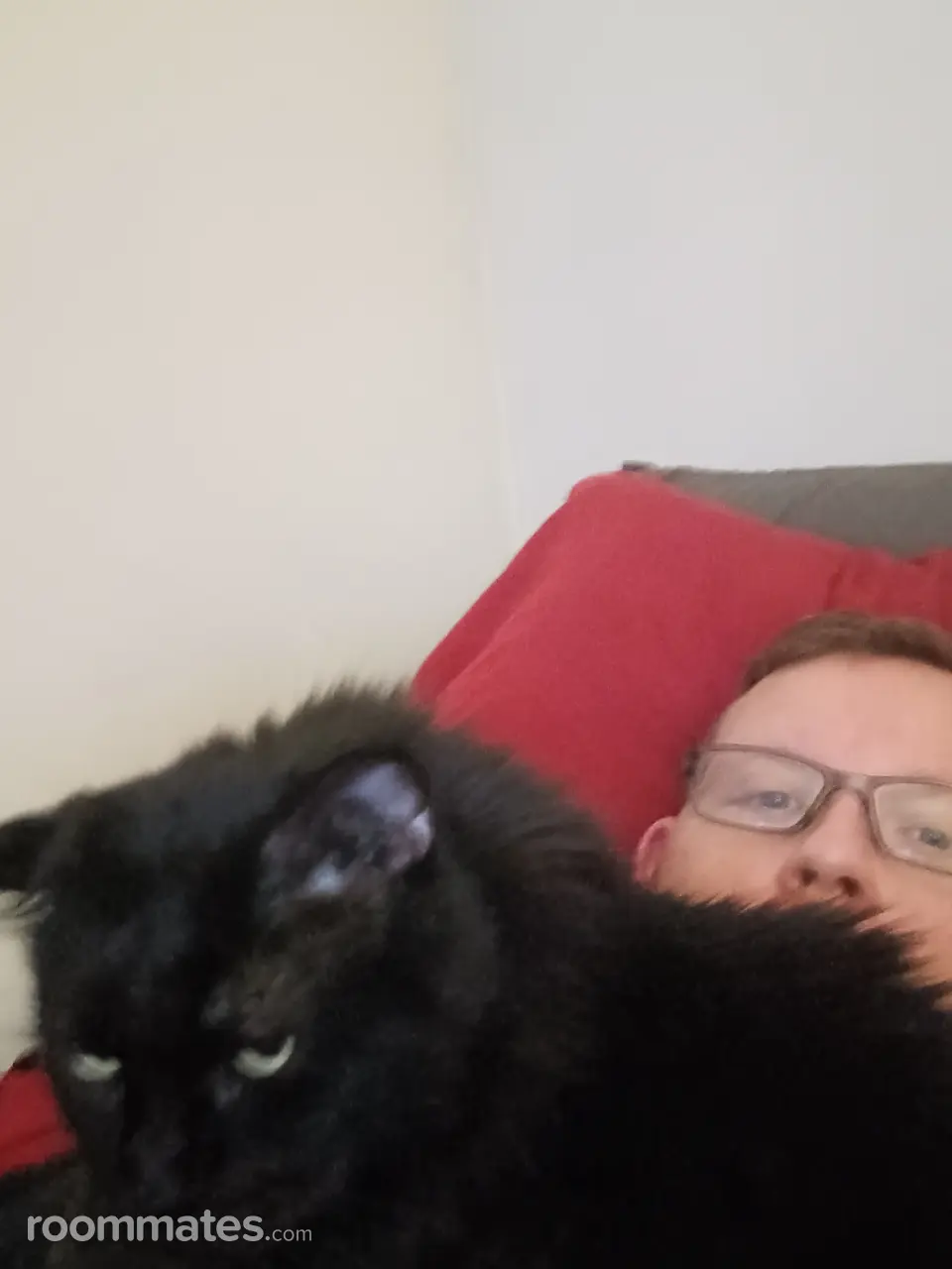 Profile photo 2 of 3