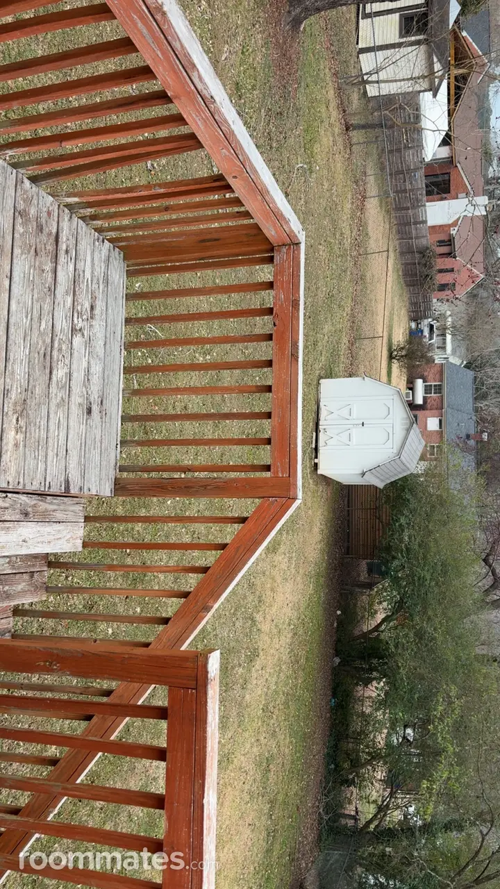 Profile photo 5 of 12