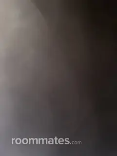 Roommate looking New Castle, IN, $900