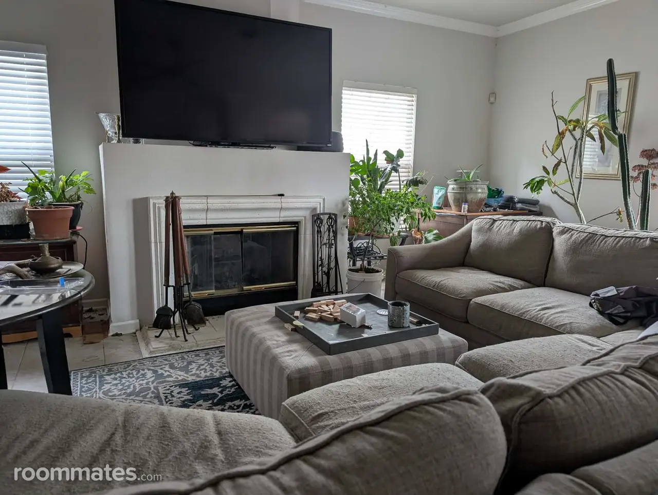 Profile photo 4 of 10