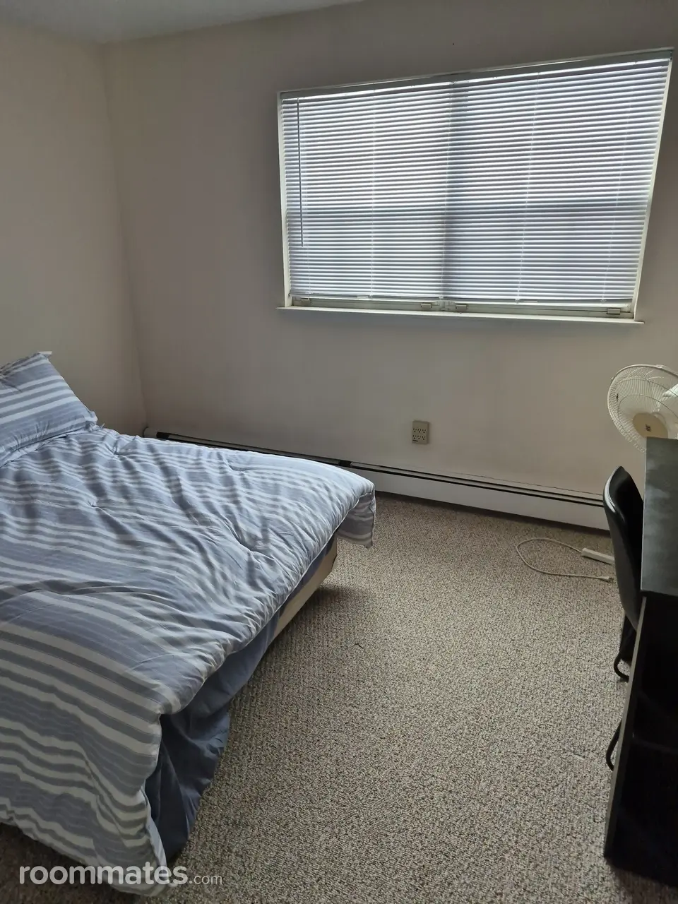 Profile photo 3 of 11