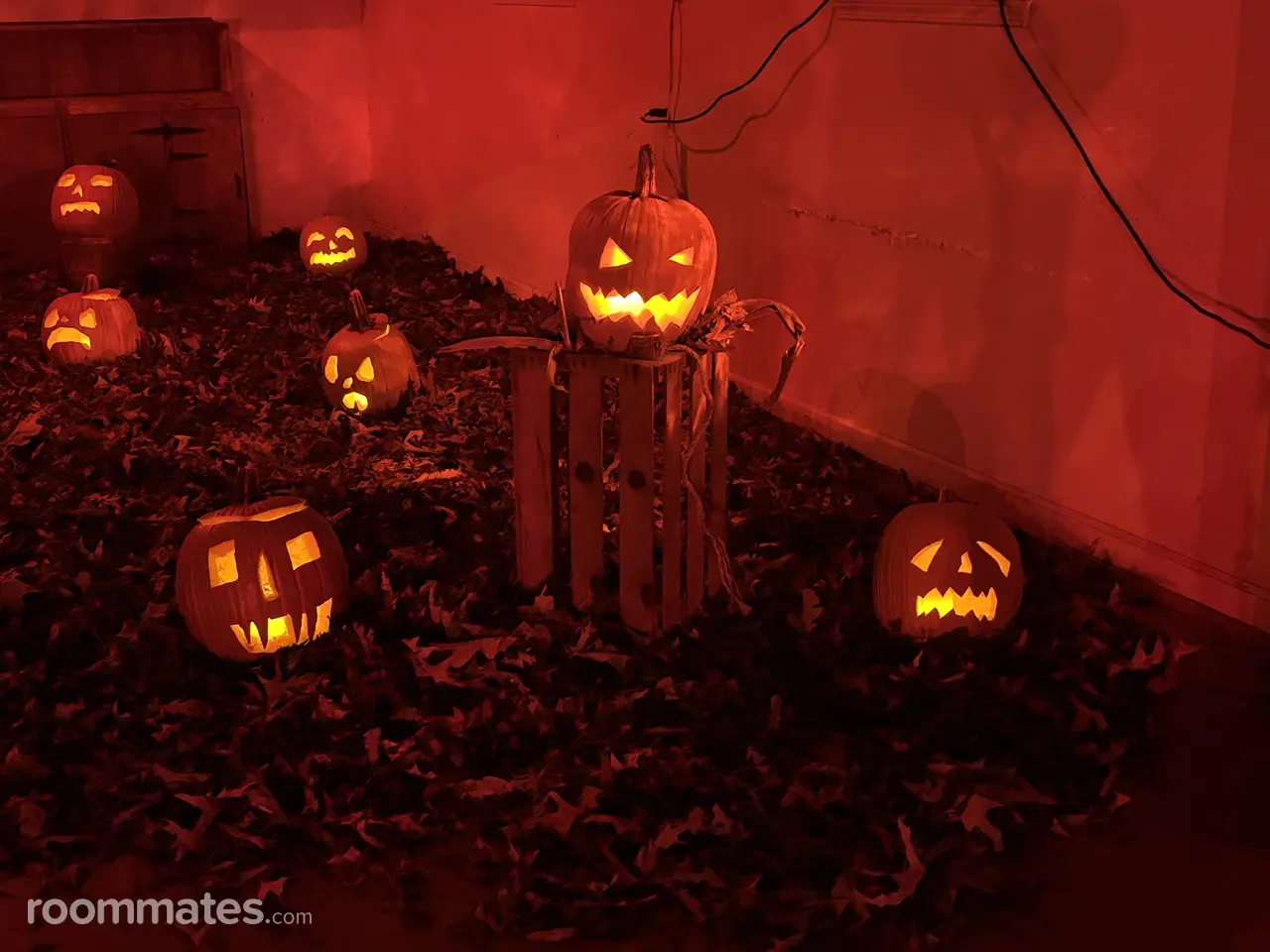 Profile photo 4 of 4