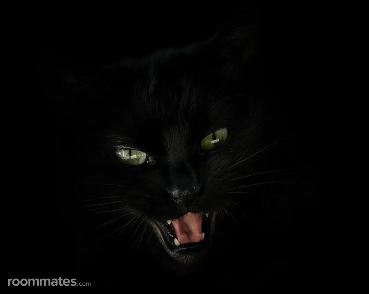 Profile photo 2 of 2