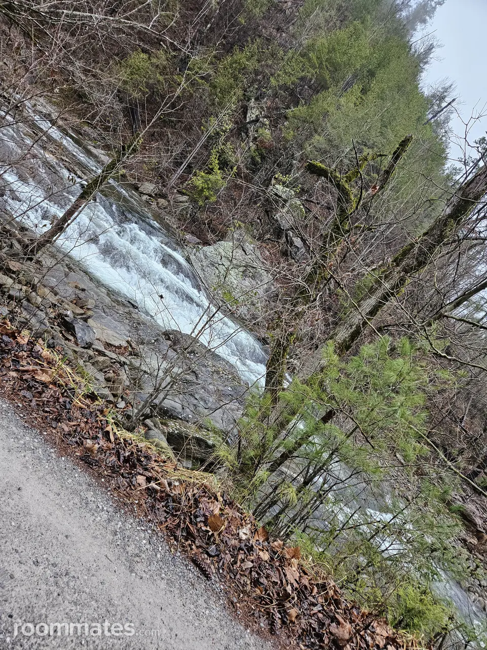 Profile photo 4 of 6