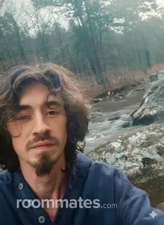 Roommate looking Knoxville, TN, $600