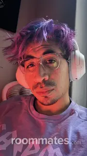 Roommate looking New York NY, $500