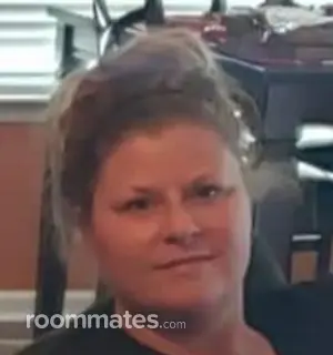 Roommate looking Seneca, SC, $600