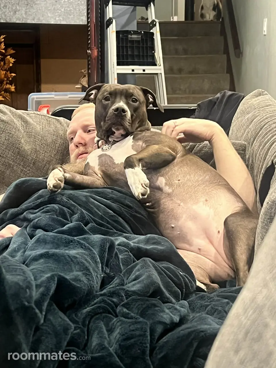 Profile photo 16 of 17