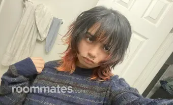 Roommate looking Olivehurst, CA, $800