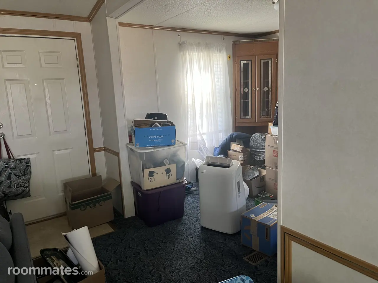 Profile photo 4 of 5