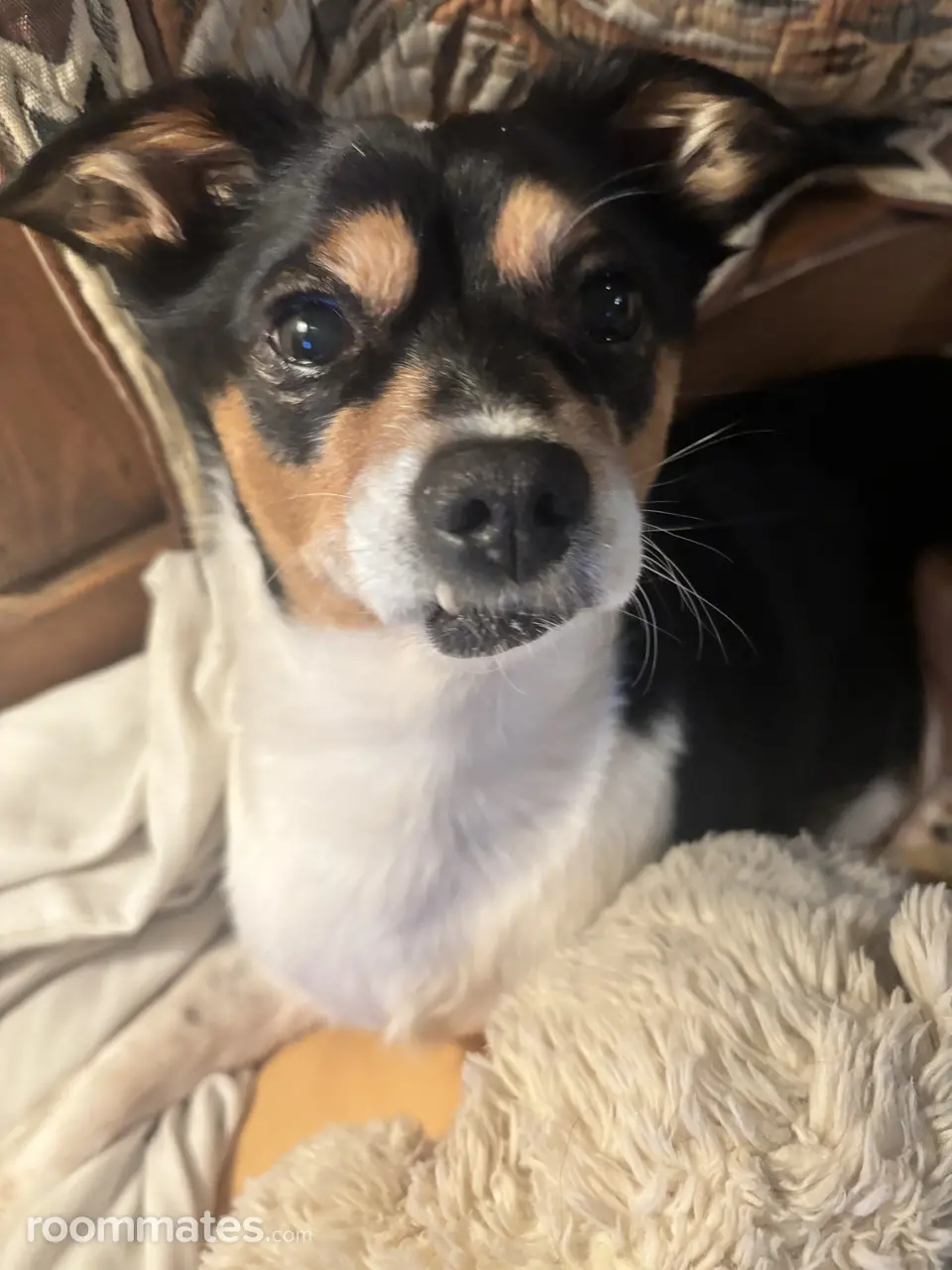 Profile photo 6 of 8