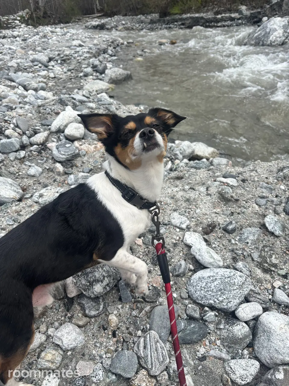 Profile photo 7 of 8