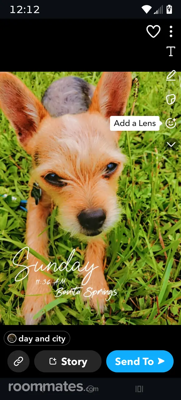 Profile photo 2 of 2