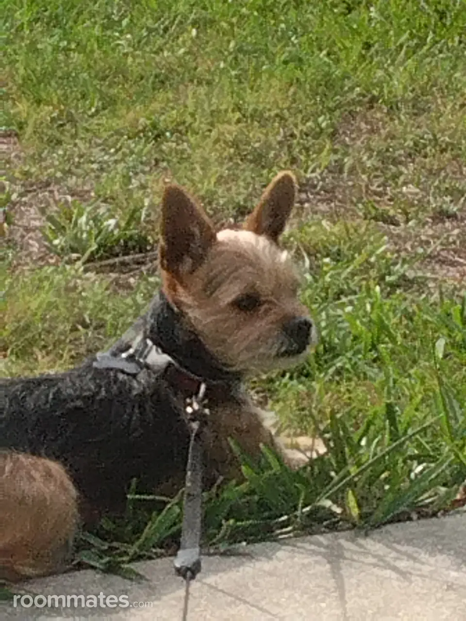 Profile photo 2 of 2