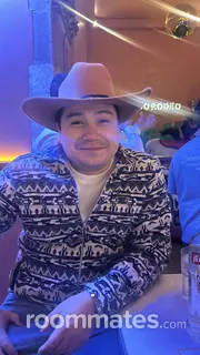 Roommate looking Denton, TX, $1000