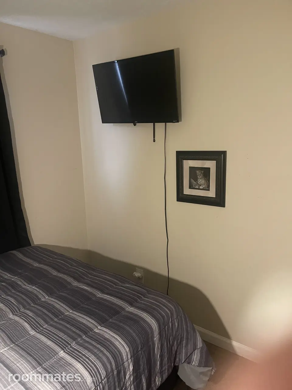 Profile photo 5 of 11