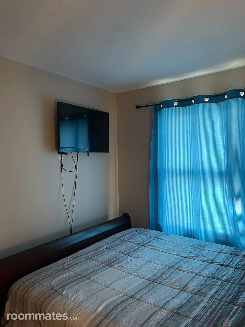 Profile photo 10 of 11