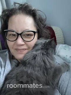 Roommate looking Novi, MI, $600