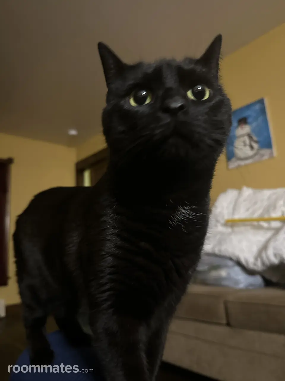 Profile photo 3 of 8