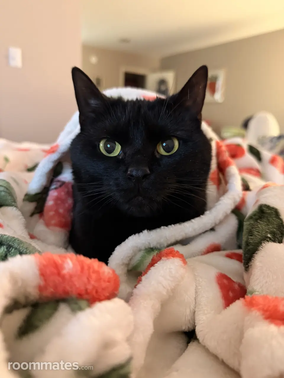 Profile photo 7 of 8