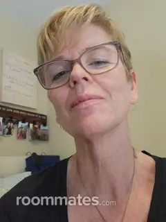 Roommate looking Watertown Town, MA, $1400