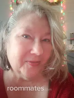 Roommate looking Murphy, TX, $600