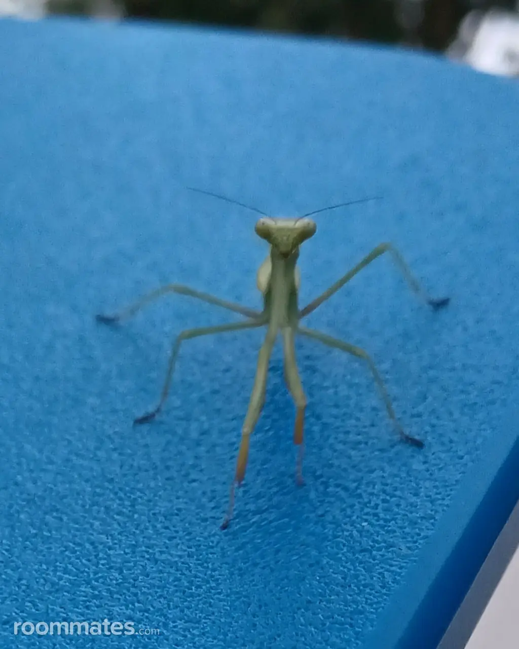 Profile photo 1 of 1