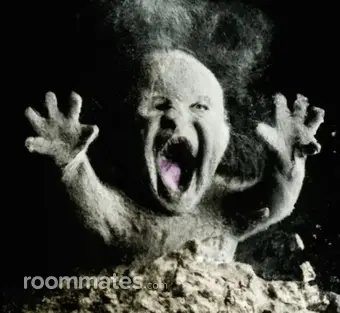 Roommate looking Bethel, OH, $600