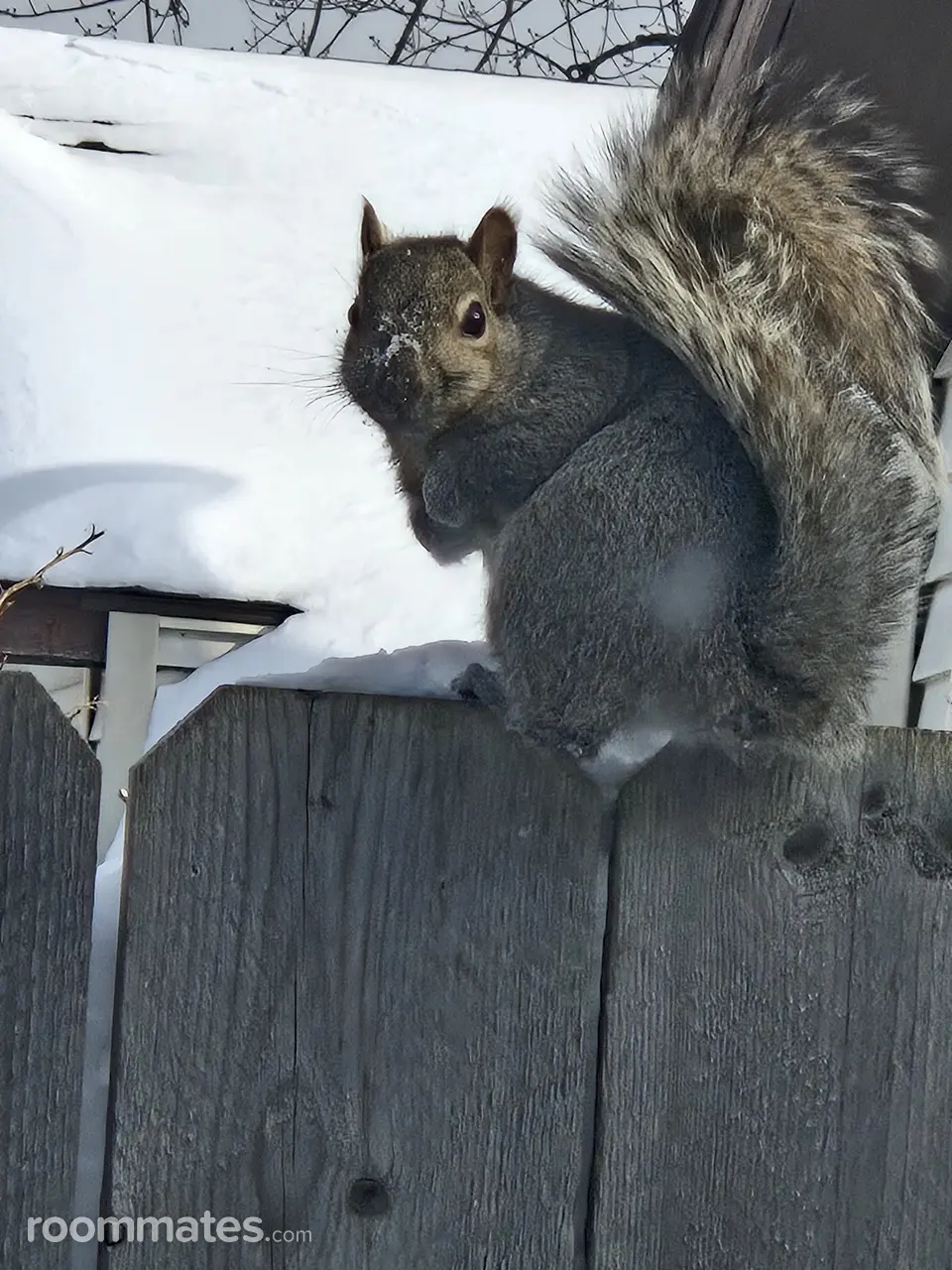 Profile photo 10 of 14