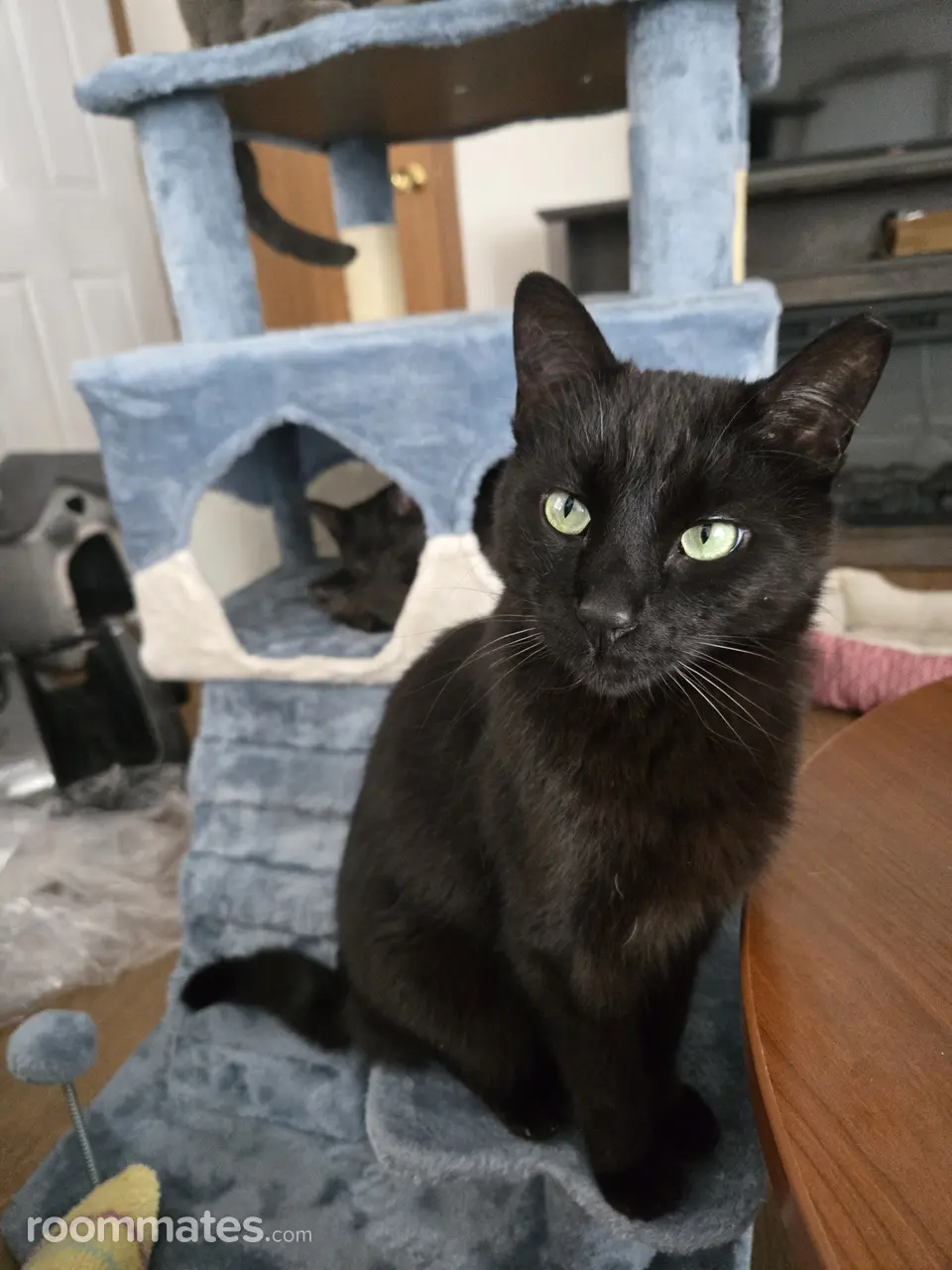 Profile photo 12 of 14