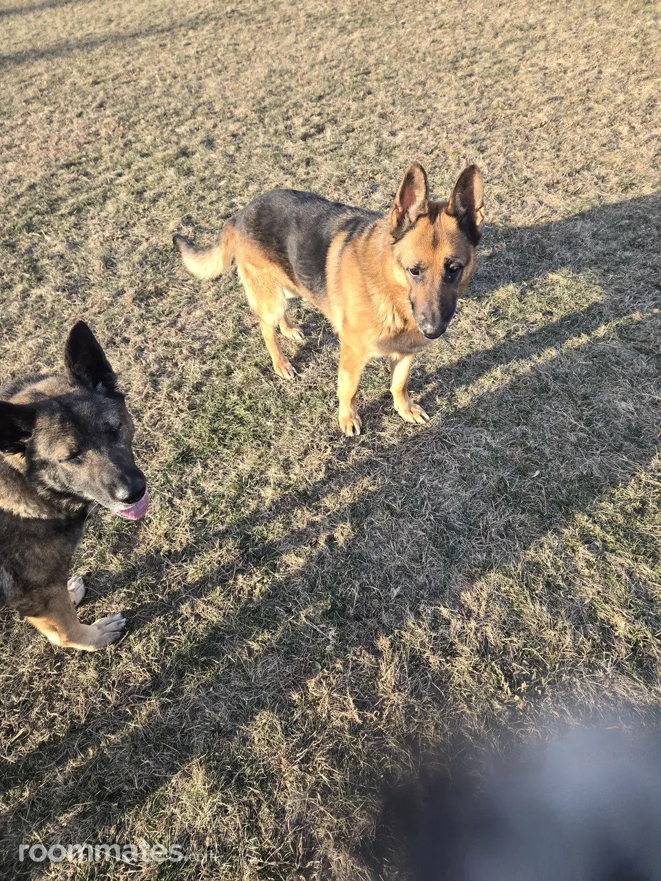 Profile photo 13 of 14