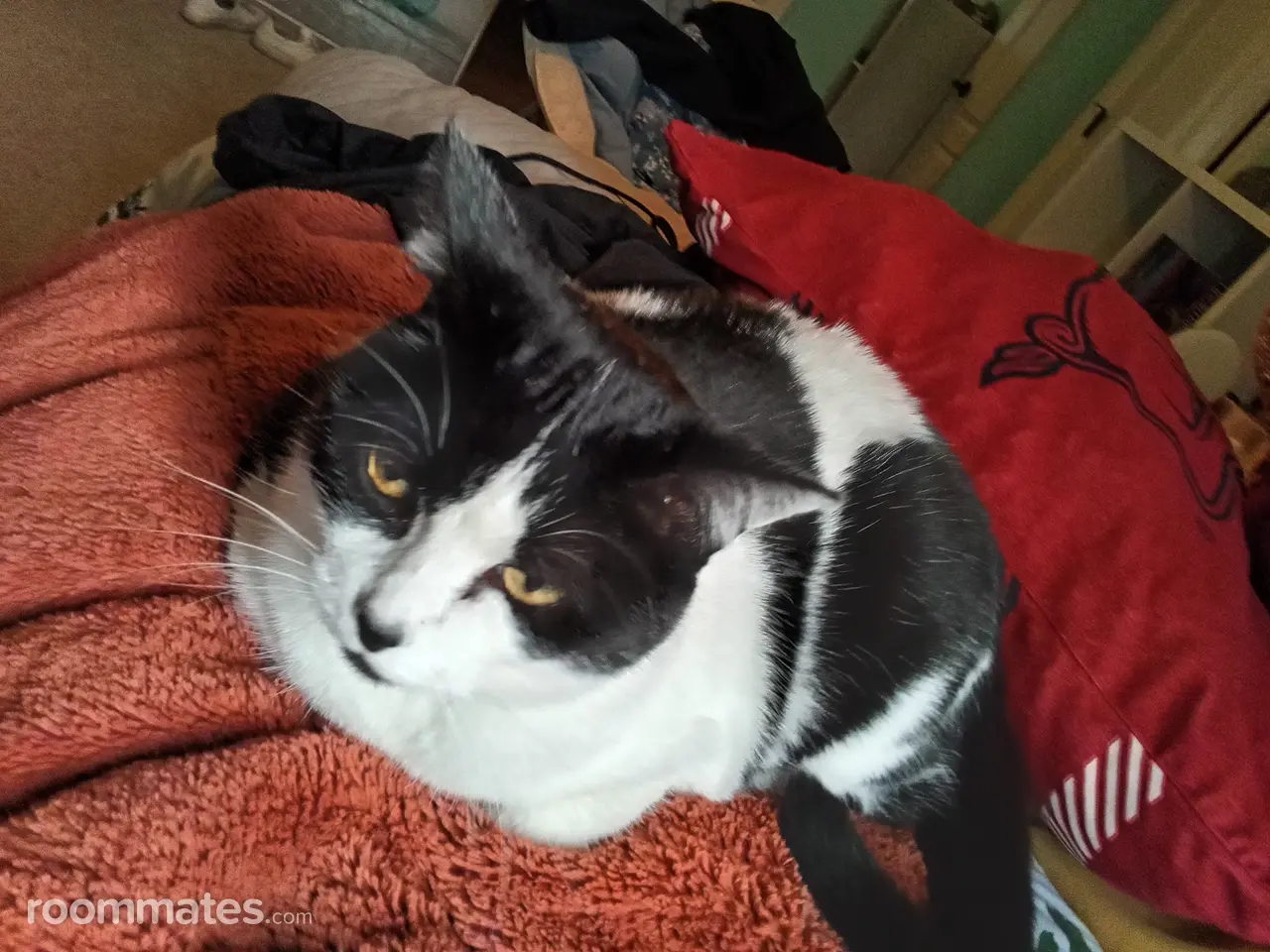 Profile photo 1 of 1