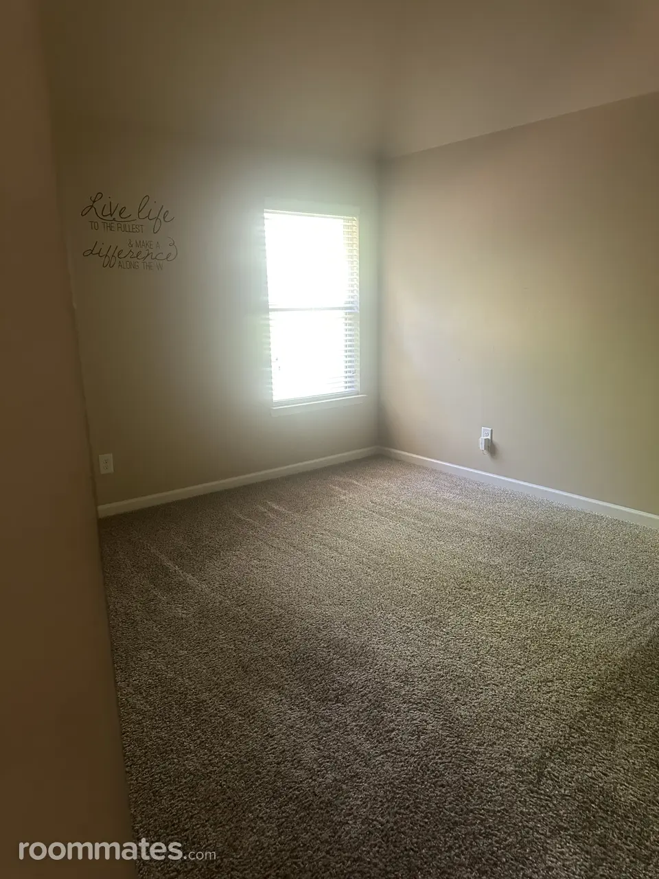 Profile photo 3 of 4