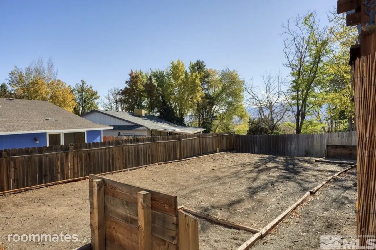 Profile photo 10 of 11