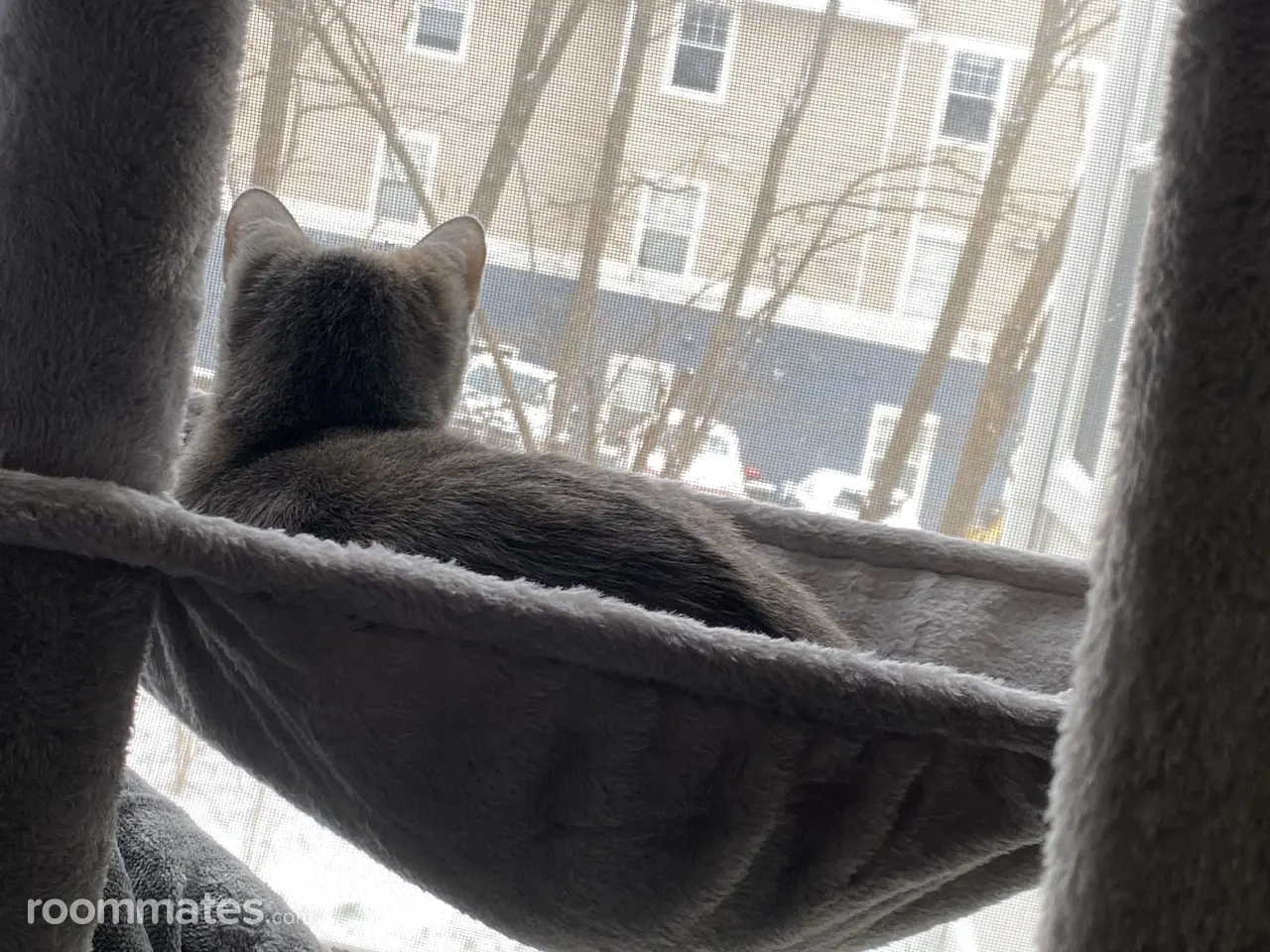 Profile photo 4 of 6