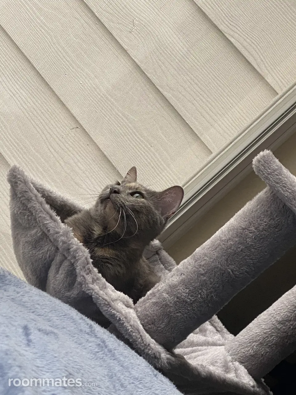 Profile photo 6 of 6