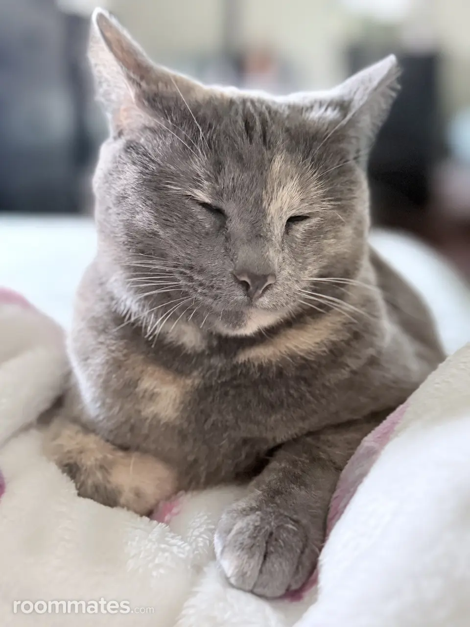 Profile photo 5 of 6