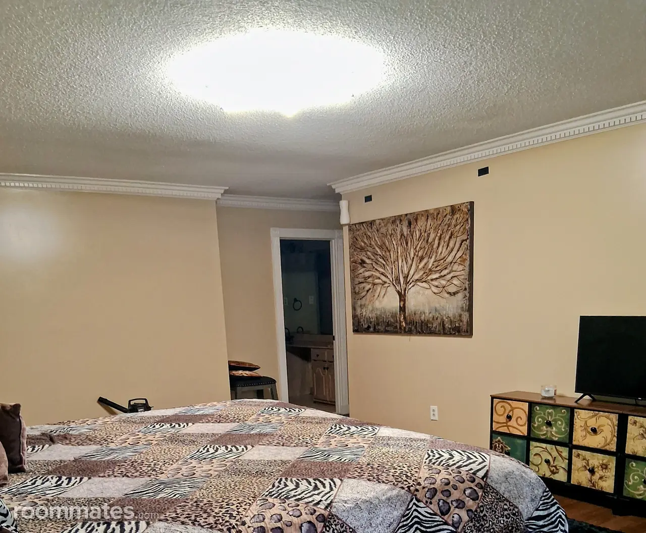 Profile photo 6 of 11